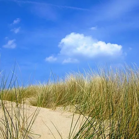 Kakelbont Casa vacanze De Haan