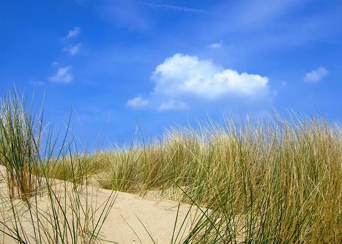 Kakelbont Holiday home De Haan